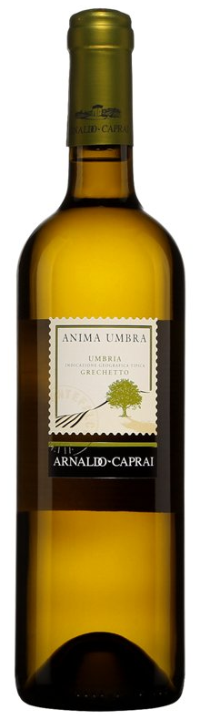 Anima Umbra Grechetto 2017