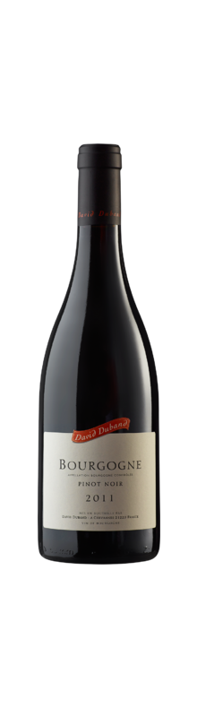 Bourgogne Pinot Noir 2016