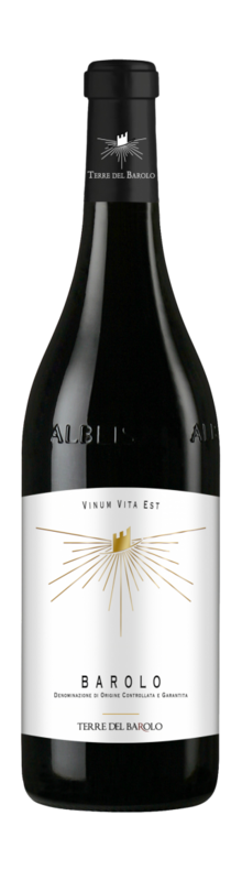 Vinum Vita Est Barolo 2013
