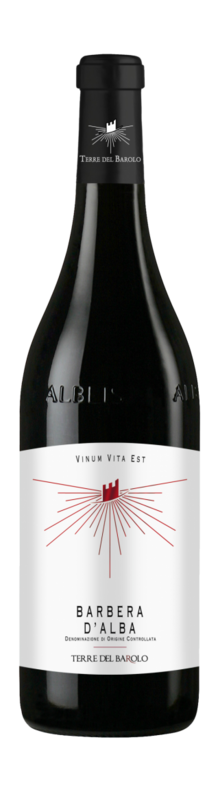 Vinum Vita Est Barbera d'Alba 2017